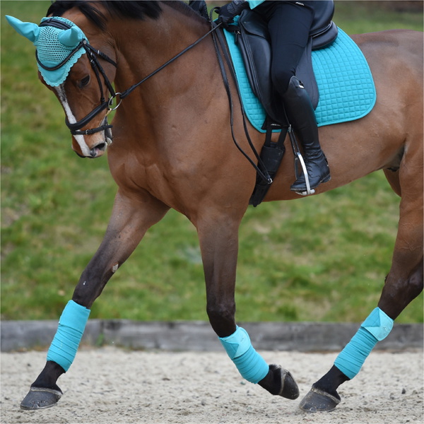 Tapis De Selle De Dressage Weatherbeeta Prime 1000745 - Turquoise